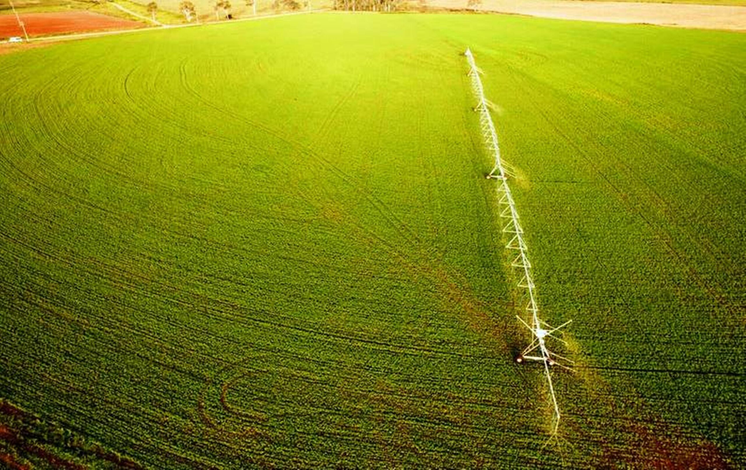  WYUNA VALE FARMS Quality Soils Plus Abundant Water Equals High