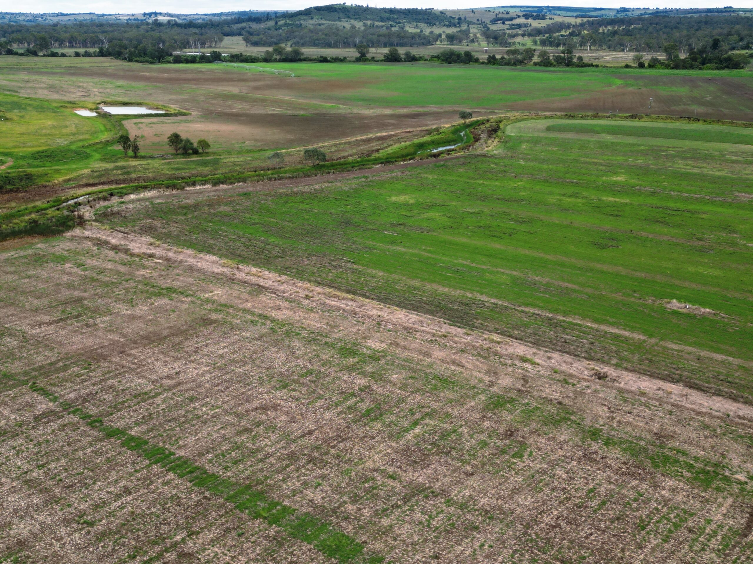  WYUNA VALE FARMS Quality Soils Plus Abundant Water Equals High