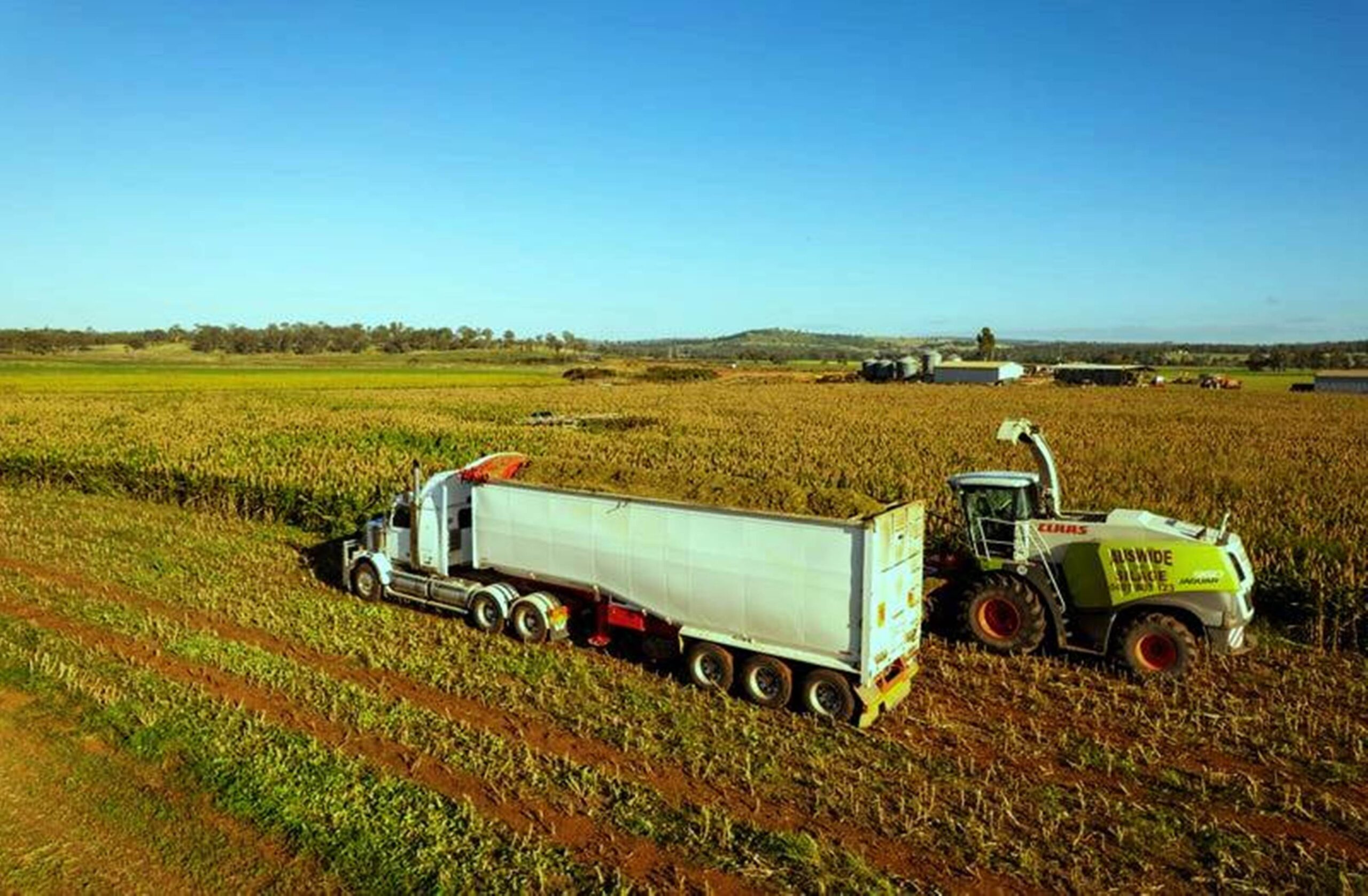  WYUNA VALE FARMS Quality Soils Plus Abundant Water Equals High